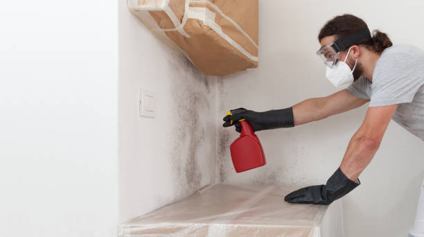 Professional Attic Mold Removal technician working in Eure, NC